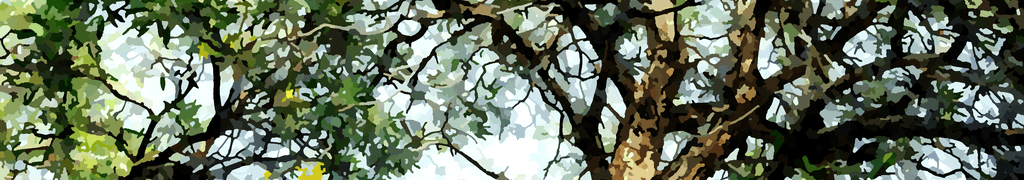 Thetreesoflife Xyz Banner